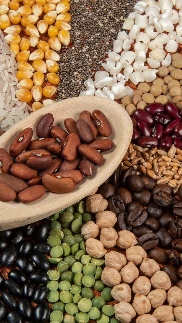 10 Easy and Delicious Lent Recipes for a Quick and Nourishing Meal