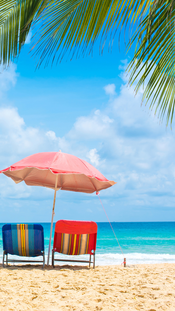 noknok’s Summer Essentials